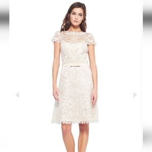 Tadashi Shoji Corded Lace Mia Dress Sz 6 NWT
